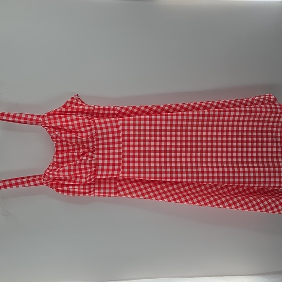 Red Plus Size Gingham Fit and Flare Dress - Picture 6 of 16